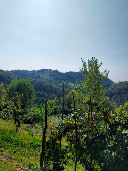 Sentiero della pace a Marostica